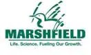 V & H Automotive Marshfield (Group) in Marshfield WI